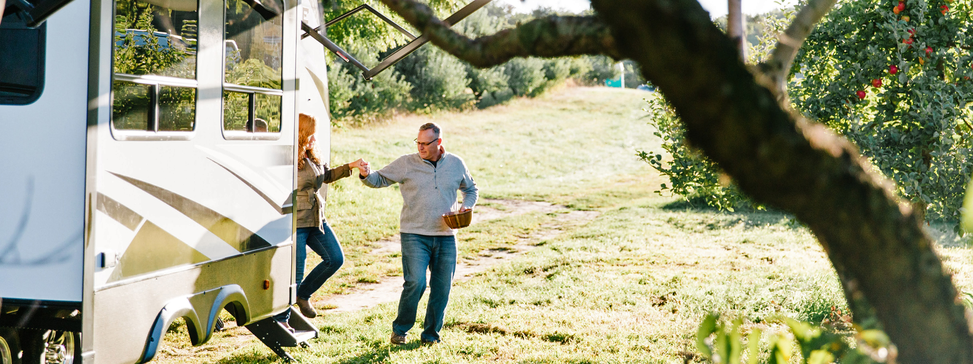 Voyage - V2831RB background image